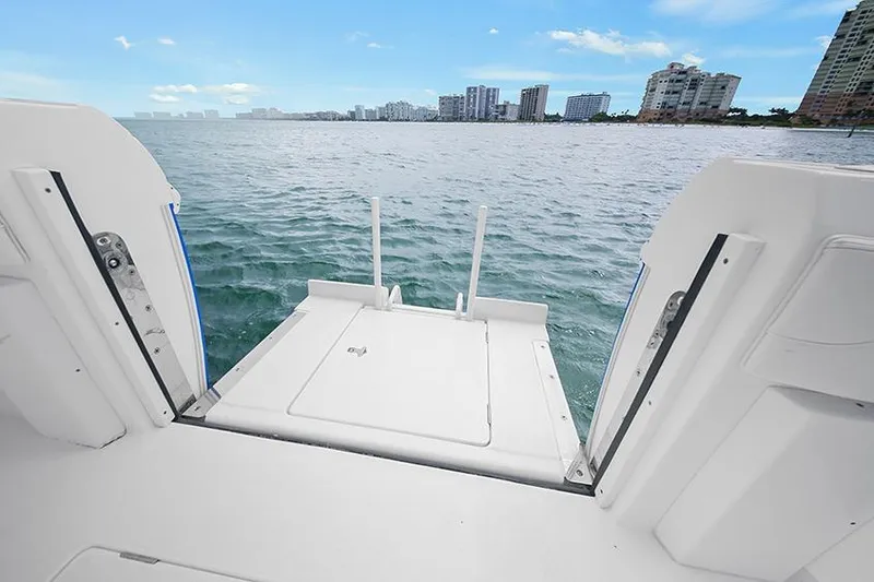 Slide: The Image of Fold out swim ladder - 13