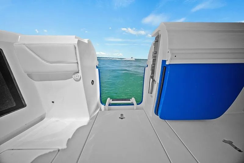Slide: The Image of Fold out swim ladder - 12