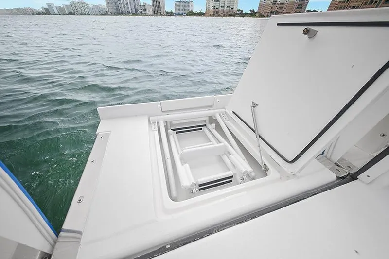 Slide: The Image of Fold out swim ladder - 14