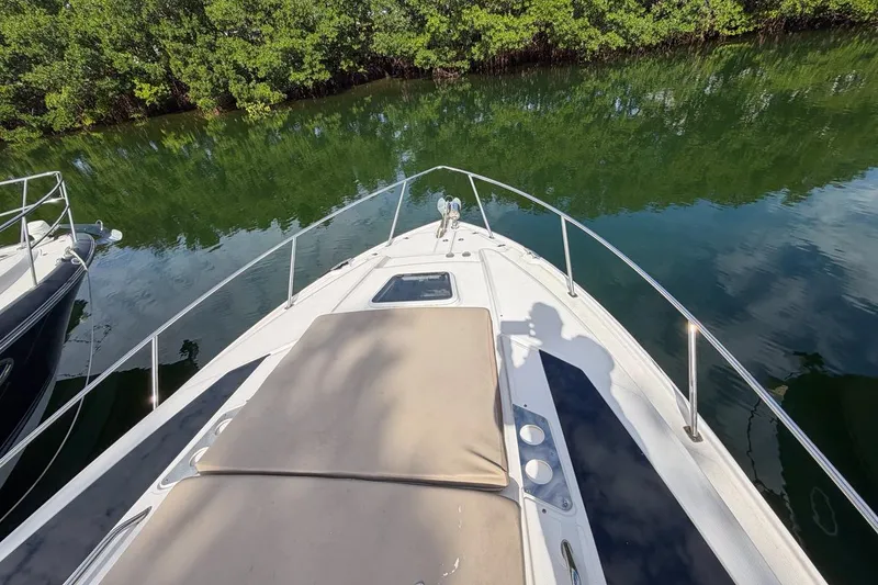 Slide: The Image of 2015 Regal 38 Express boat deck with lush greenery reflection in calm water. - 25