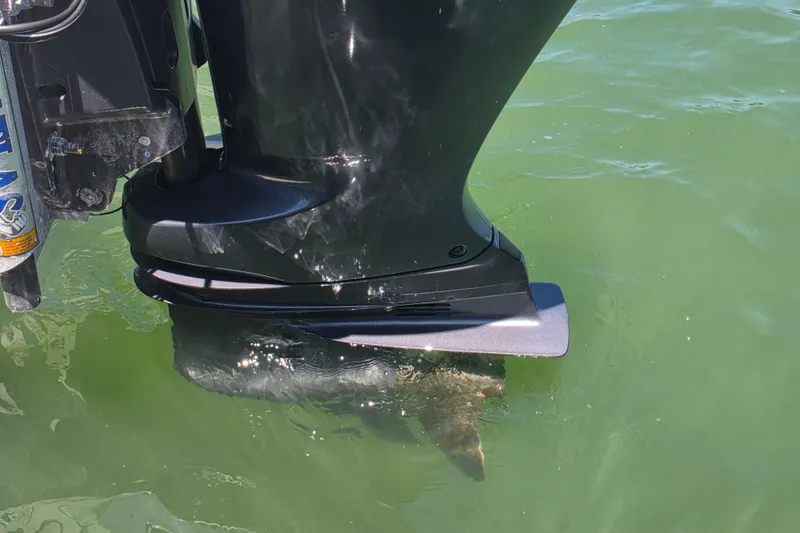 Slide: The Image of Outboard motor of 2014 Custom Exuma Catamaran 32 in green water. - 14