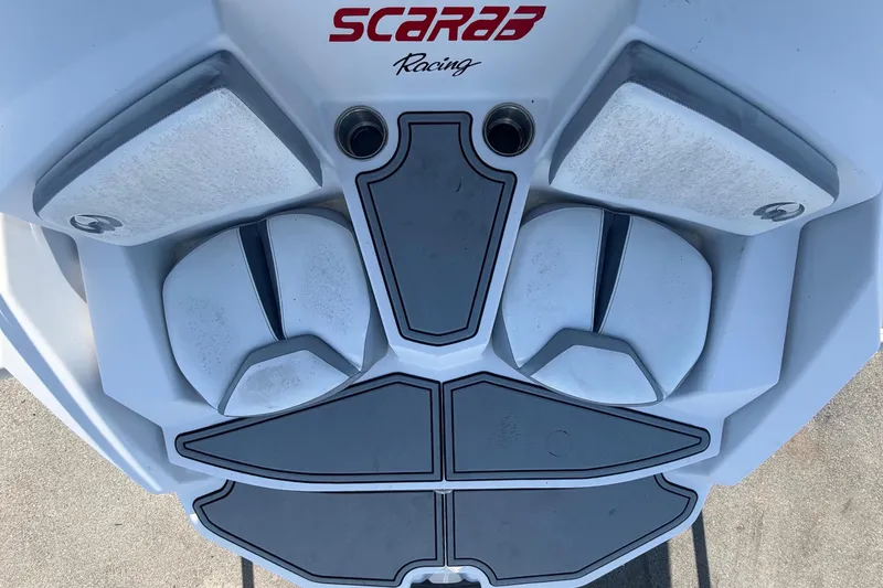Slide: The Image of Scarab 165 2016 - 53