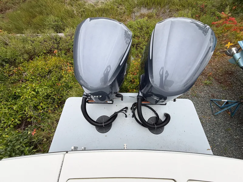 Slide: The Image of Two outboard motors on a boat, surrounded by green vegetation. - 12