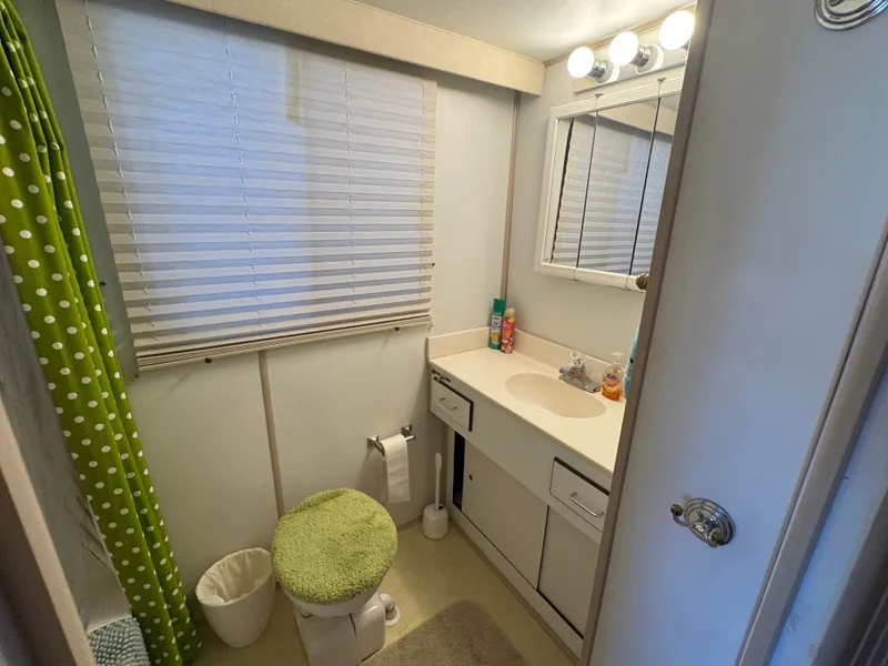 Slide: The Image of Een badkamer met wastafel, spiegel, toilet en douche met groene gordijn. - 26