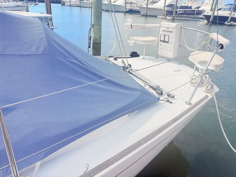 Slide: The Image of The 2009 Alerion Express 38 is docked. It features a blue cover and white railing. - 4
