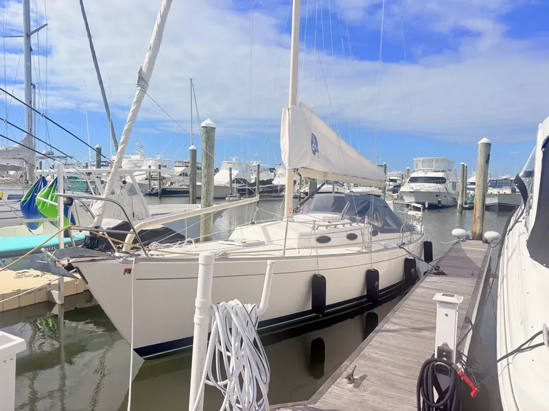 The Image of A white sailboat docked at a marina, surrounded by other boats in the harbor. - 0