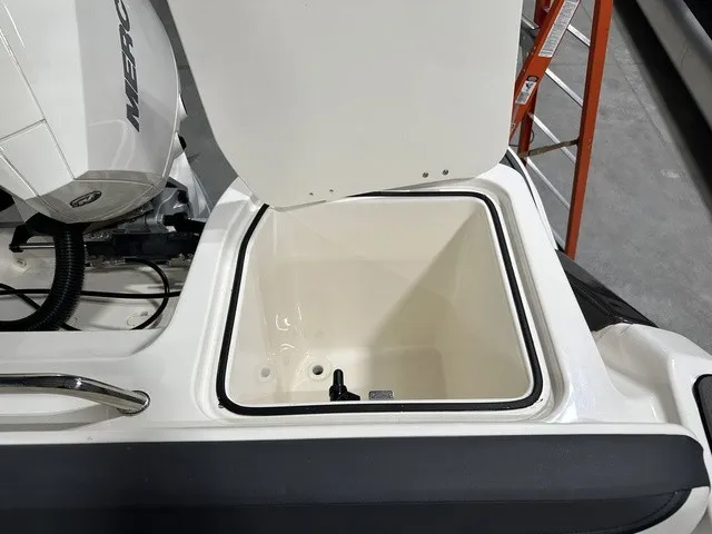 Slide: The Image of An open storage compartment on a boat, next to a Mercury engine, with a ladder in the background. - 10
