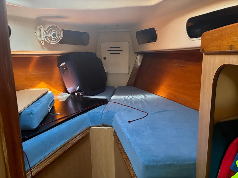 Slide: The Image of The cabin of a 1973 Pearson 36 with blue cushions and wooden walls. - 36