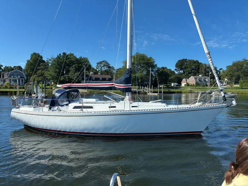 The Image of A white sailboat sits calmly on the water, surrounded by green trees and houses on the shore. - 0