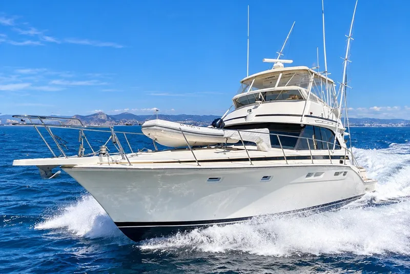 The Image of 1981 Bertram 46.6 yacht cruising on open sea under clear blue sky. - 0