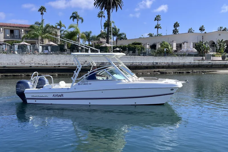 Slide: The Image of 2021 World Cat 230 DC boat on calm water near a resort with palm trees. - 2