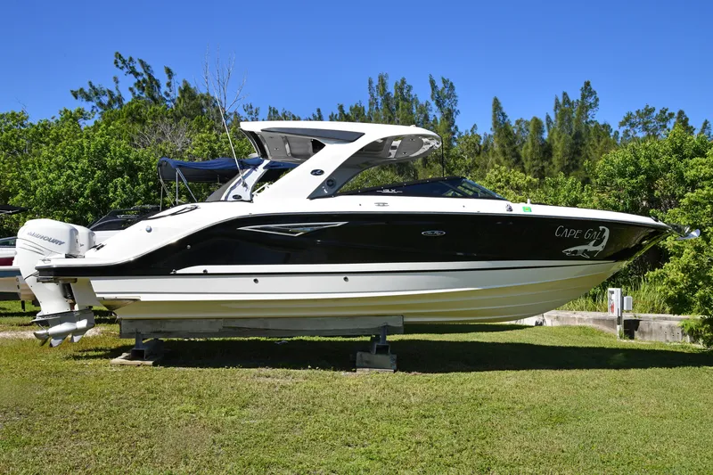 Slide: The Image of 2017 Sea Ray SLX 310 boat on display, black and white design, parked on grass. - 1