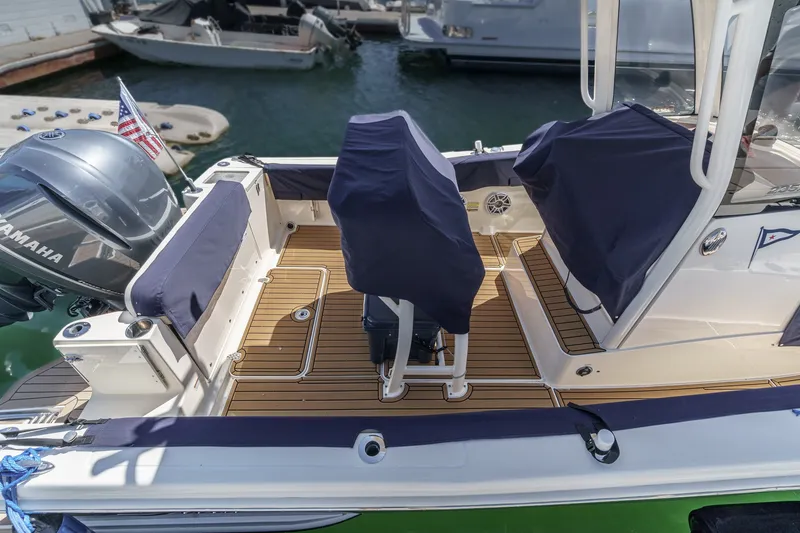 Slide: The Image of Scout 235 XSF 2020 - 43