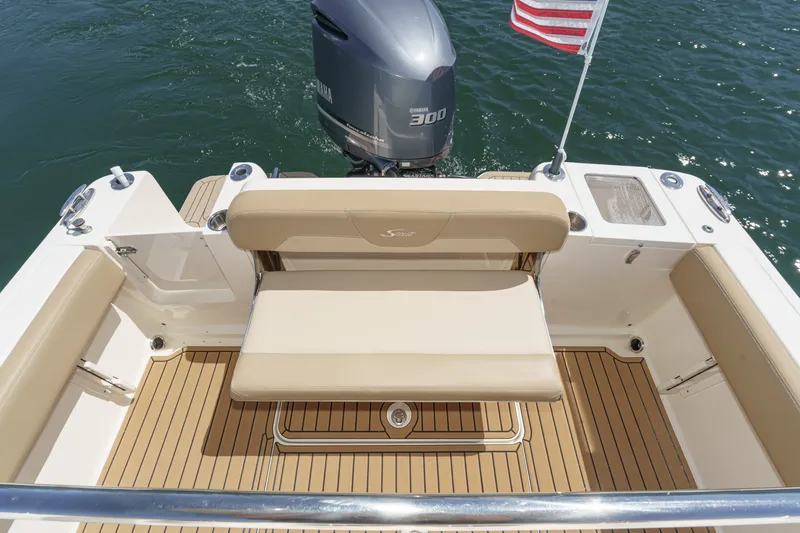 Slide: The Image of Scout 235 XSF 2020 - 7