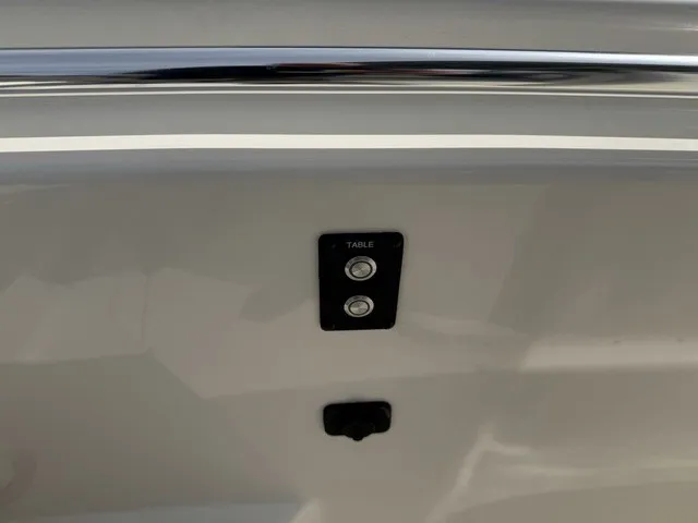Slide: The Image of Close-up of a switch labeled "TABLE" on a Cobia 280 Center Console boat. - 30