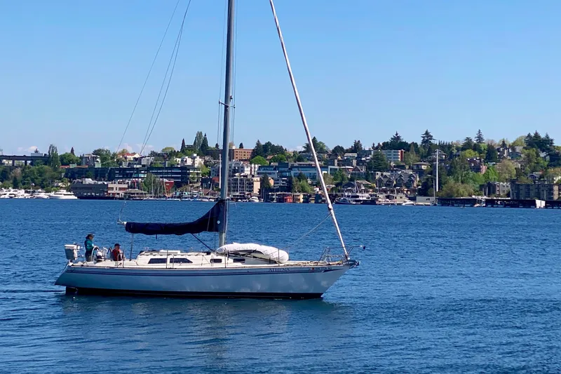 Slide: The Image of 1980 Sceptre Scepter 36 sailboat on a calm lake with cityscape background. - 22