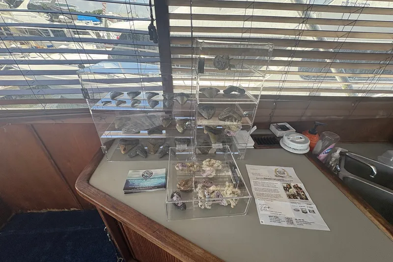 Slide: The Image of Display of rocks and minerals on a 1989 Topaz 44 Sportfisherman yacht interior. - 12