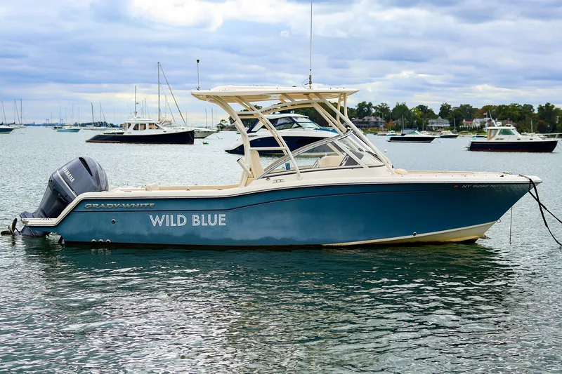 The Image of 2020 Grady-White Freedom 235 boat named "Wild Blue" anchored in a scenic harbor. - 0
