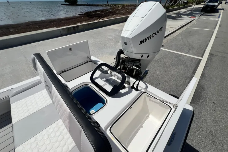 Slide: The Image of Vtech 18 boat (2025) with Mercury outboard motor, docked by the sea. - 46