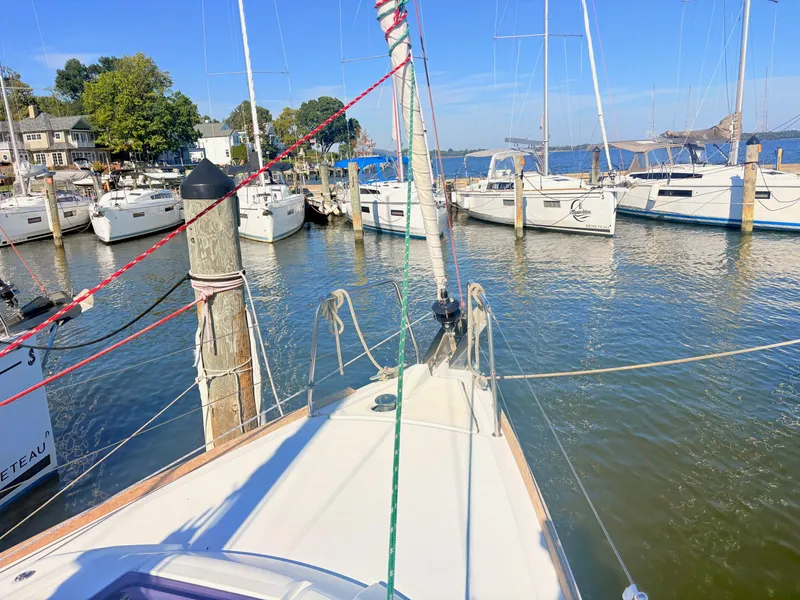 Slide: The Image of A sailboat is docked in a calm harbor, surrounded by other boats and a wooded shoreline. - 11