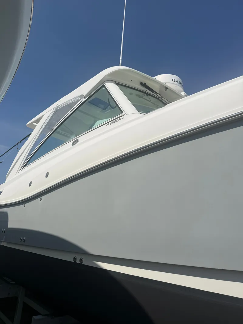 Slide: The Image of World Cat 320 DC 2019 - 3