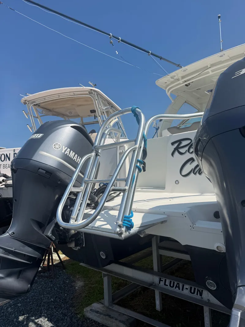 Slide: The Image of World Cat 320 DC 2019 - 4