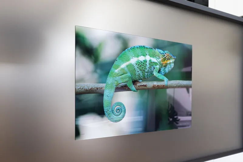 Slide: The Image of Framed chameleon artwork displayed on a modern wall, showcasing vibrant colors. - 100