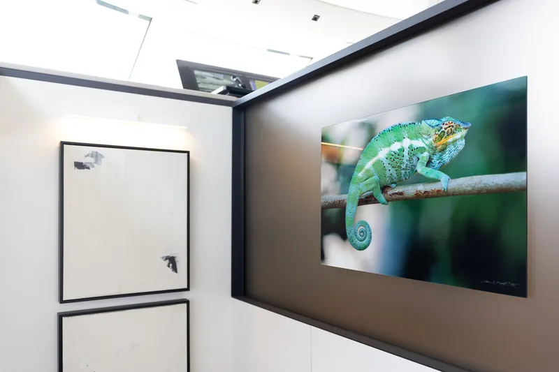 Slide: The Image of Interior of 2024 Sanlorenzo SL90A yacht featuring chameleon artwork and minimalist decor. - 101