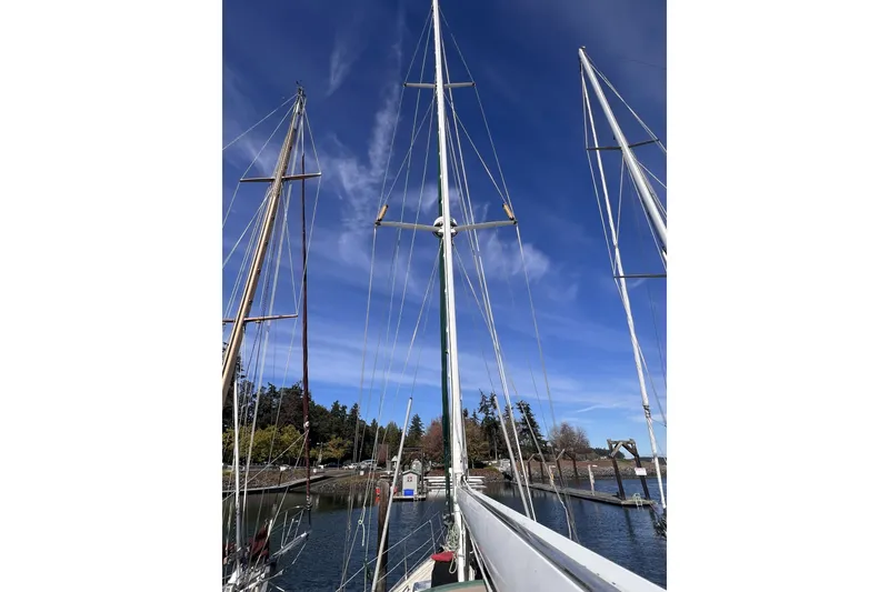 Slide: The Image of Sailboat masts against a clear blue sky, Perry 51 model, 1991. - 33