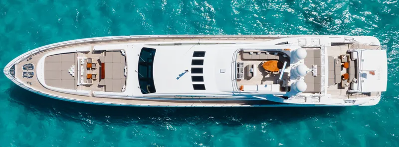 Slide: The Image of Mangusta Mangusta 165 2009 - 1