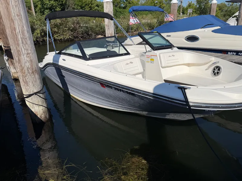 The Image of Sea Ray 190 SPX 2019 - 0