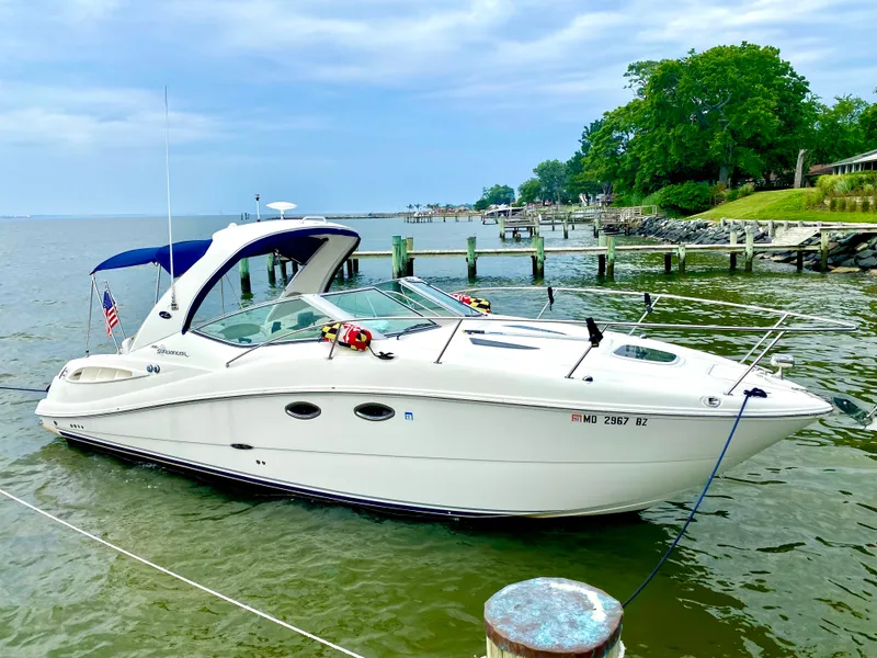 The Image of Sea Ray 290 Sundancer 2007 - 0