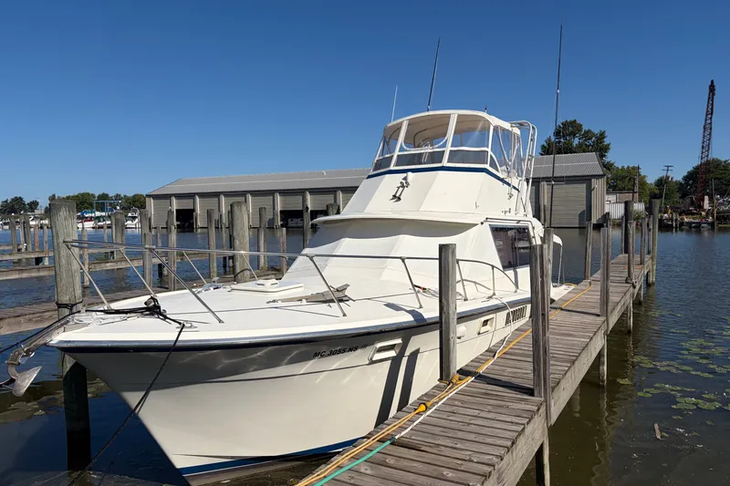 The Image of 1972 Hatteras 38 Convertible docked at a marina under clear blue skies. - 1
