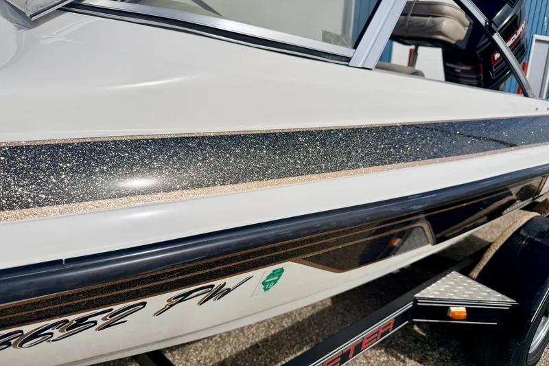 Slide: The Image of 1994 Skeeter SS140 boat with glittery black and white exterior detailing. - 15