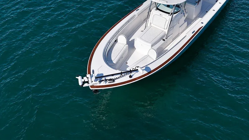 Slide: The Image of The image shows a sleek boat on calm water. It features a modern design with white upholstery. - 12