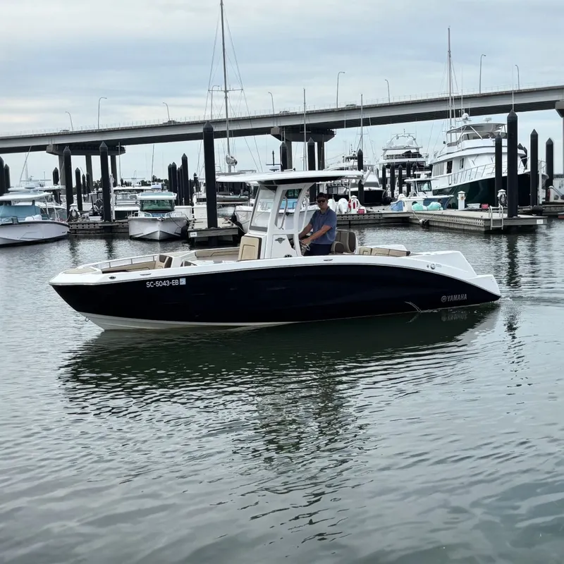 The Image of Yamaha 255 FSH Sport E 2022 - undefined