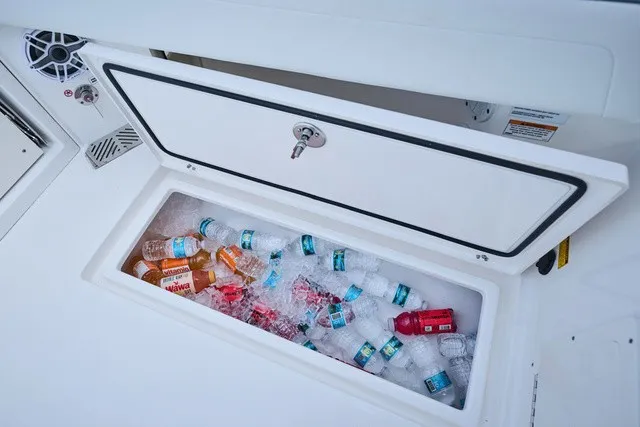 Slide: The Image of Cooler compartment on a Cobia 250 DC boat filled with drinks and ice. - 22