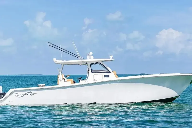 The Image of Blackwater 41 Performance Fish 2025 in mare aperto. - 0