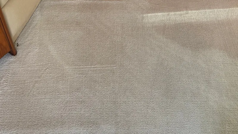 Slide: The Image of Salon Carpet - 12
