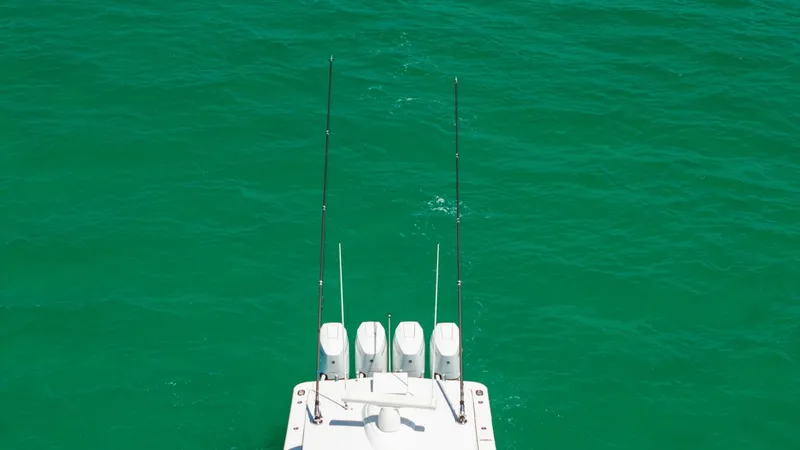 Slide: The Image of DJI_20260813002727_0237_D - 45