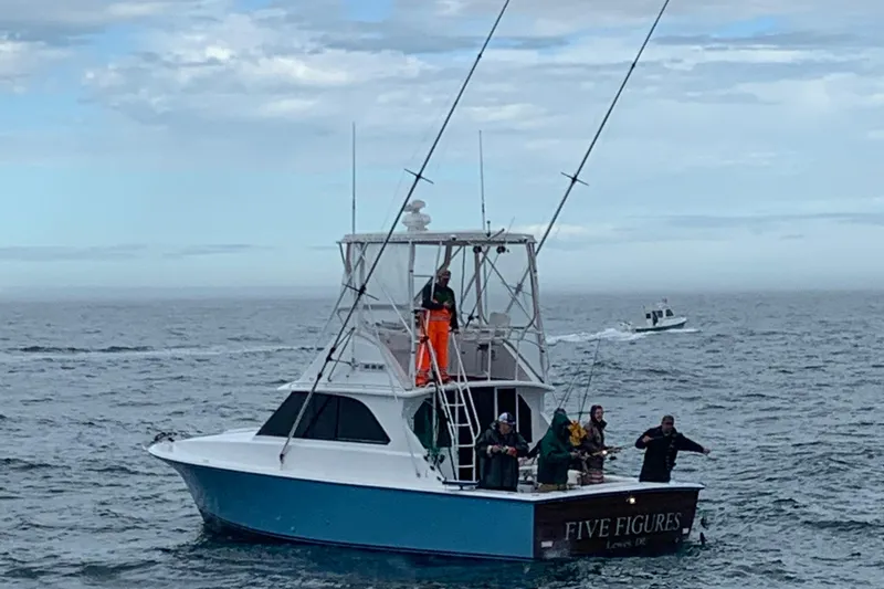 The Image of 1979 Bertram 35 Flybridge boat on ocean, people fishing, overcast sky. - 1