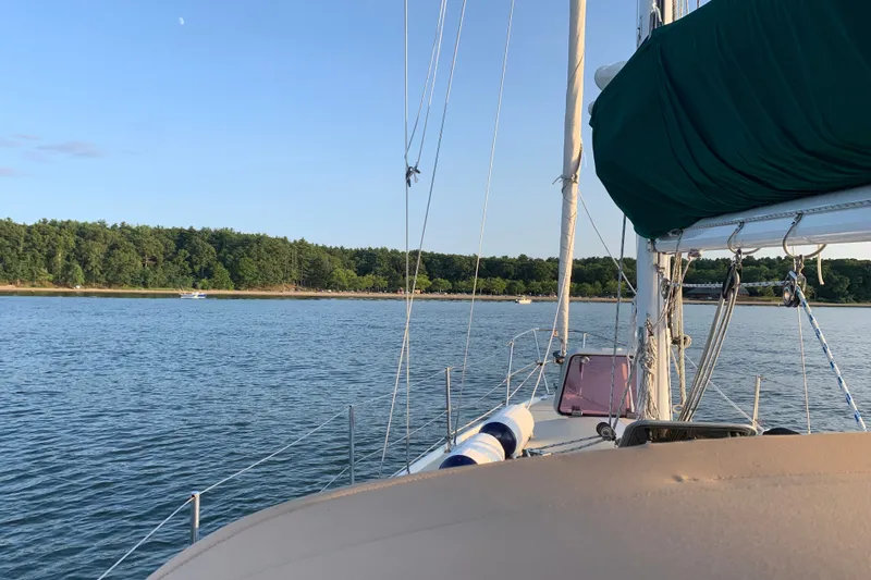 Slide: The Image of Sailing on a 1988 Catalina 34 yacht near a forested shoreline. - 51