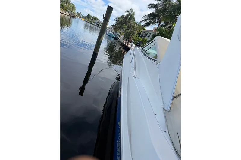 Slide: The Image of 2004 Cruisers Yachts 340 Express docked by palm trees and calm water. - 5