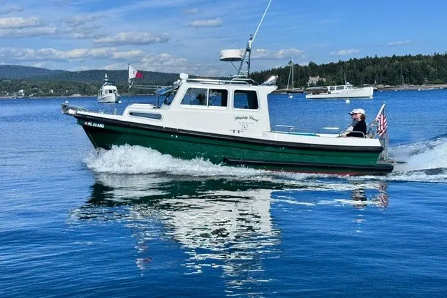 Slide: The Image of 2002 Mitchell Sea Angler boat cruising on a scenic lake with clear skies. - 1