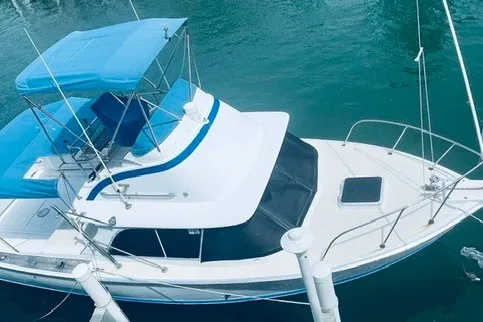 The Image of 1979 Bertram 31 Flybridge Cruiser on water, featuring blue canopy and sleek design. - 0
