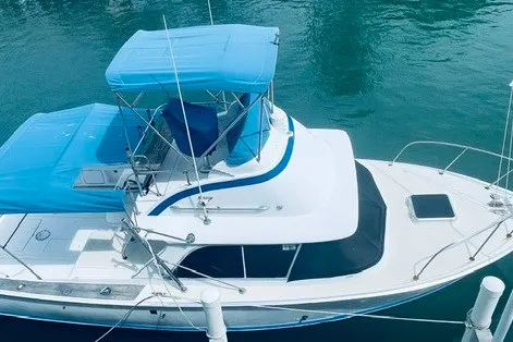 Slide: The Image of 1979 Bertram 31 Flybridge Cruiser with blue canopy on calm water. - 29