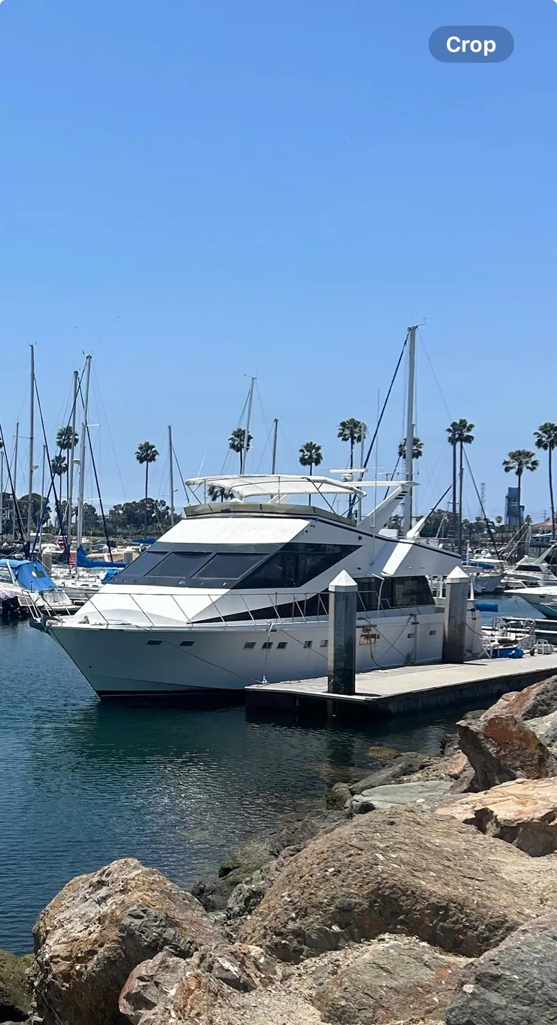 The Image of Luxury yacht docked in marina, clear blue sky, palm trees in background, 1989 custom model. - 3