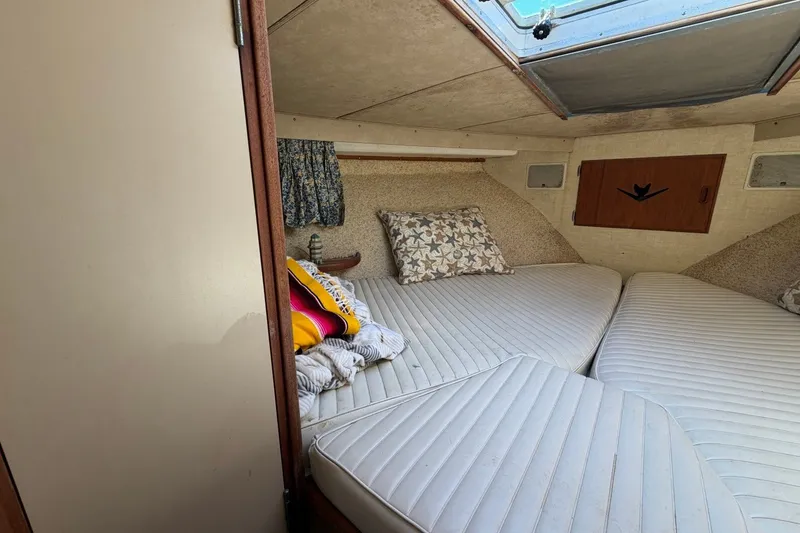 Slide: The Image of Cozy cabin interior of 1983 Bertram 38III Convertible with cushions and decorative pillows. - 20