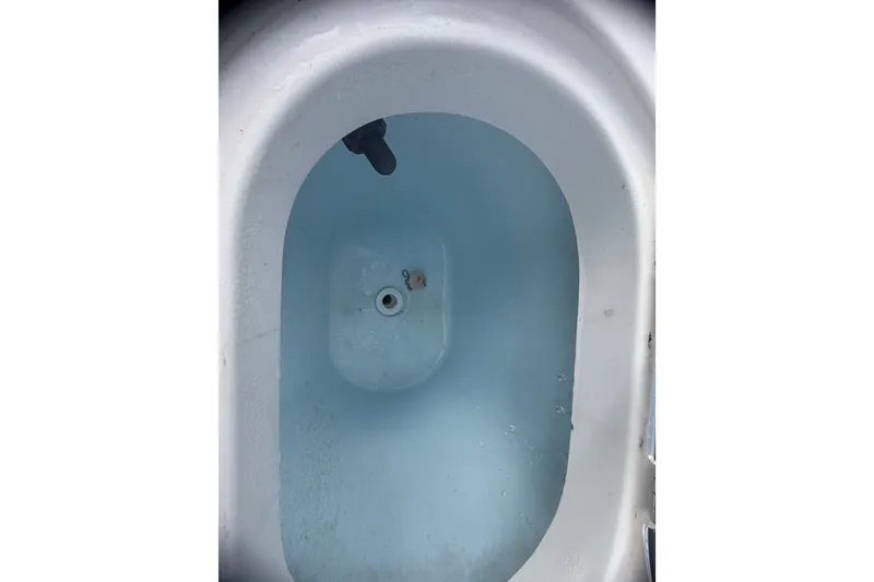 Slide: The Image of Livewell filled with water on a 2019 Sailfish 245 DC boat. - 37