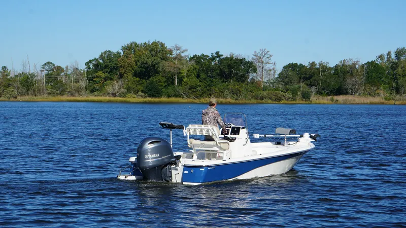 Slide: The Image of A man navigates a blue and white boat on calm waters, surrounded by trees. - 3